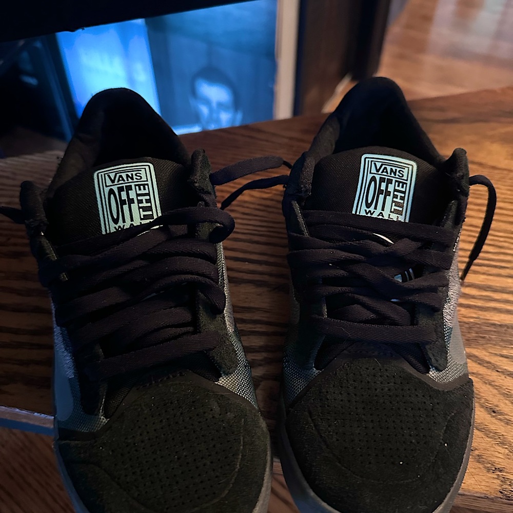 Vans Skateboarding Shoe